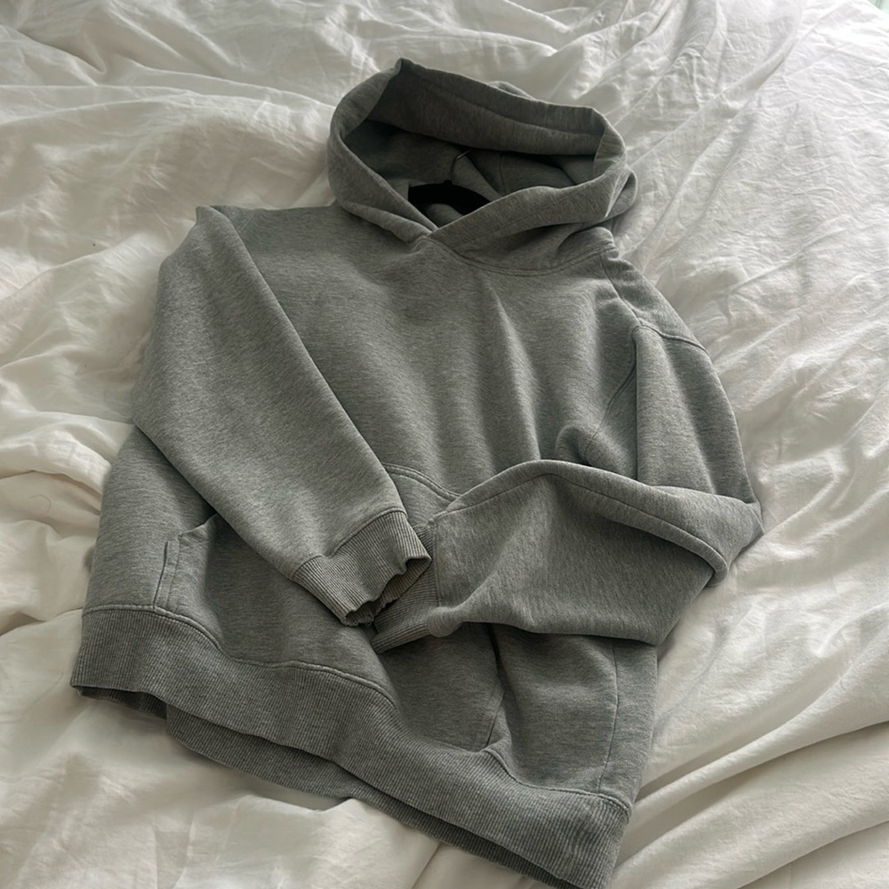 Aritzia Gray Hoodie
